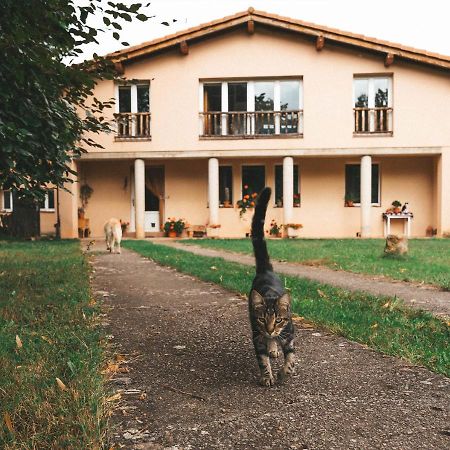 Casa De Campo La Solana Estollo Zewnętrze zdjęcie