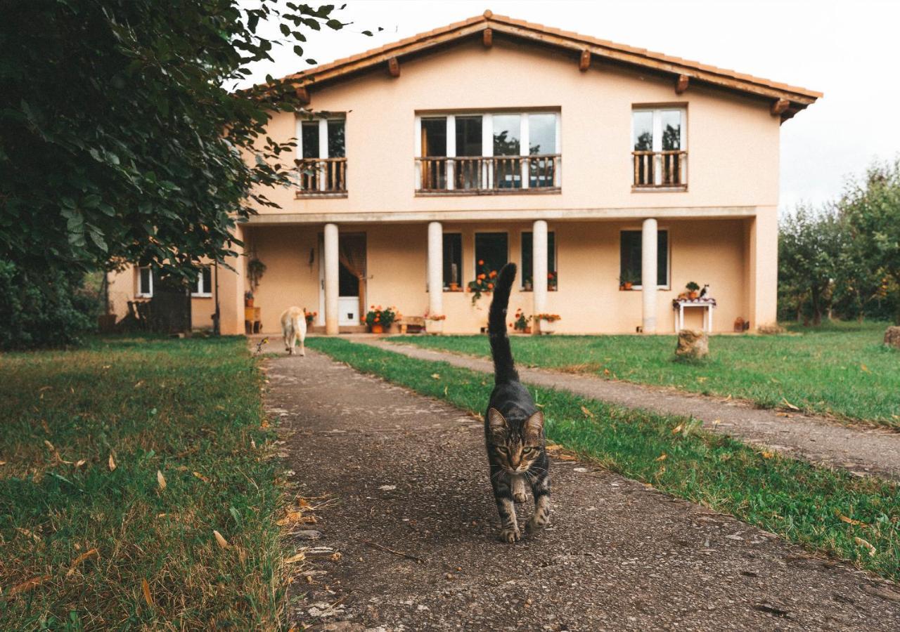 Casa De Campo La Solana Estollo Zewnętrze zdjęcie